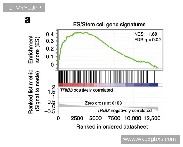 上海极限运动队耐力表现数据分析与训练策略探讨