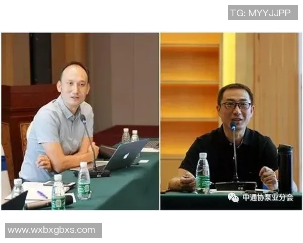 专访刘军揭示DOTA2成功背后的策略与团队协作秘诀