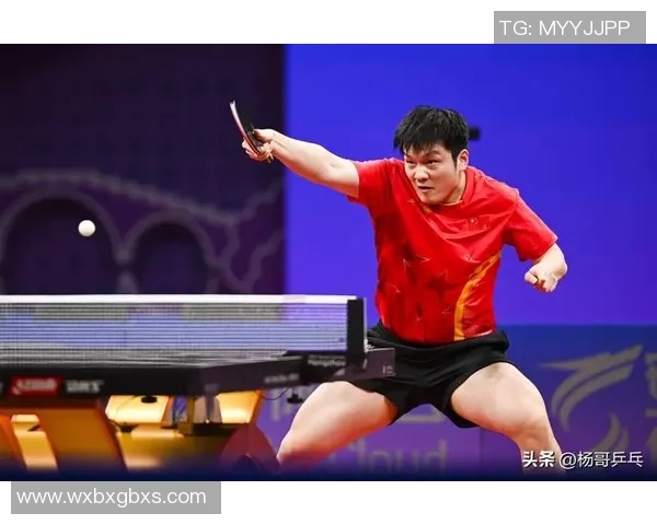 乒乓球专题：深入解析杭州乒乓球队的技术特点与训练方法
