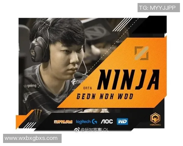 全明星赛分析：WE战队灵活应变展现出色团队协作能力