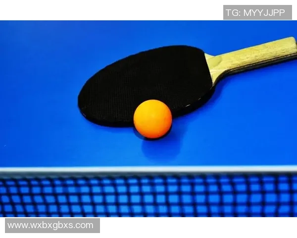 乒乓球爱好者必看训练器材推荐与选购指南助你提升球技