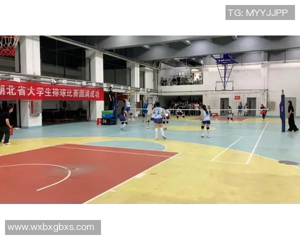 武汉排球队比赛经验的创新与变革引发热议