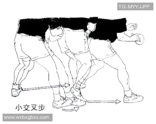 羽毛球战术解析：深入上海羽毛球队的训练与比赛策略探讨